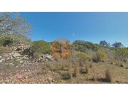 Terreno R�stico - Concei��o, Faro, Faro (Algarve) - Miniatura: 8/9