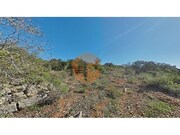 Terreno R�stico - Concei��o, Faro, Faro (Algarve) - Miniatura: 9/9