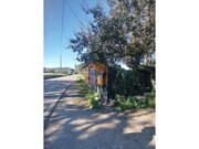 Terreno R�stico - Moncarapacho, Olh�o, Faro (Algarve) - Miniatura: 3/9