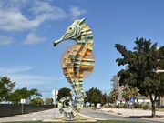 Terreno R�stico - Moncarapacho, Olh�o, Faro (Algarve) - Miniatura: 9/9