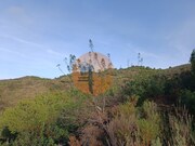 Terreno R�stico - Castro Marim, Castro Marim, Faro (Algarve) - Miniatura: 6/9