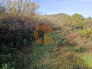 Terreno R�stico - Castro Marim, Castro Marim, Faro (Algarve) - Miniatura: 7/9
