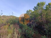 Terreno R�stico - Castro Marim, Castro Marim, Faro (Algarve) - Miniatura: 9/9