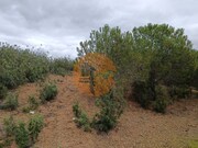 Terreno R�stico - Azinhal, Castro Marim, Faro (Algarve) - Miniatura: 2/9