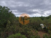 Terreno R�stico - Azinhal, Castro Marim, Faro (Algarve) - Miniatura: 4/9