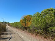 Terreno Urbano - Vaqueiros, Alcoutim, Faro (Algarve) - Miniatura: 6/9