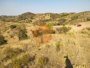 Terreno R�stico - Odeleite, Castro Marim, Faro (Algarve) - Miniatura: 5/9