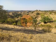 Terreno R�stico - Odeleite, Castro Marim, Faro (Algarve) - Miniatura: 9/9