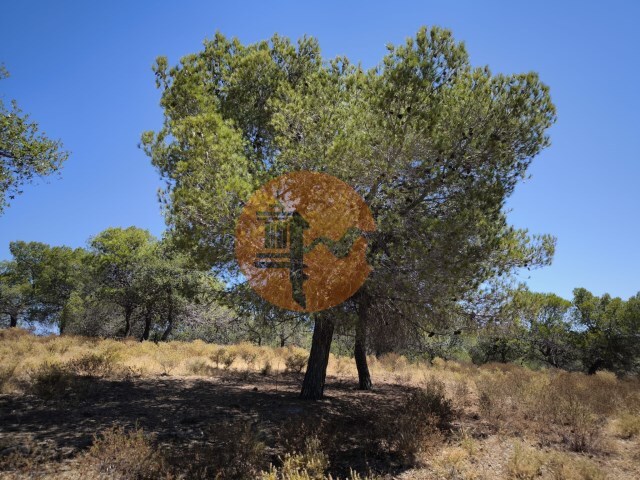 Terreno R�stico - Castro Marim, Castro Marim, Faro (Algarve) - Imagem grande