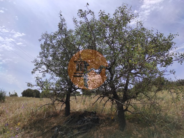 Terreno Rústico - Castro Marim, Castro Marim, Faro (Algarve) - Imagem grande