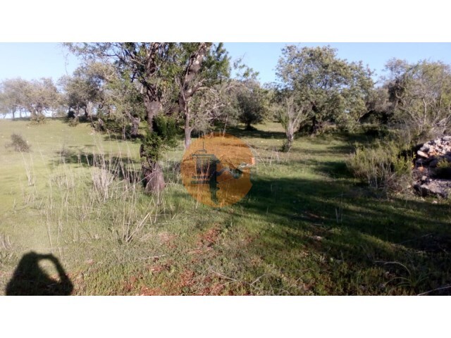 Terreno R�stico - Paderne, Albufeira, Faro (Algarve) - Imagem grande