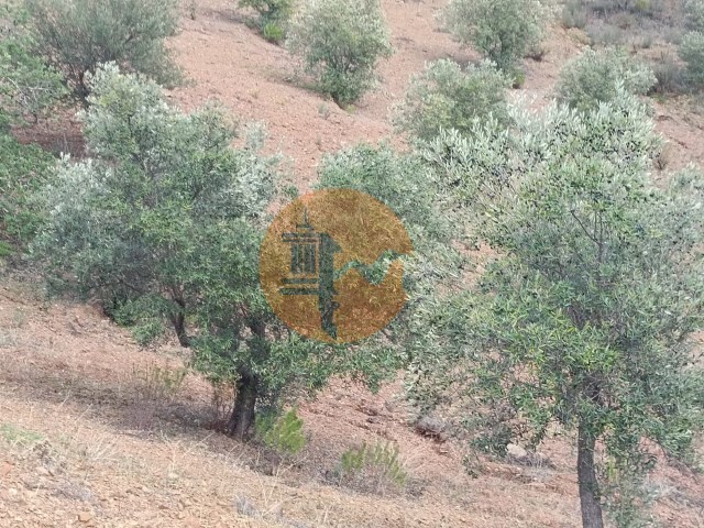 Terreno R�stico - Azinhal, Castro Marim, Faro (Algarve) - Imagem grande