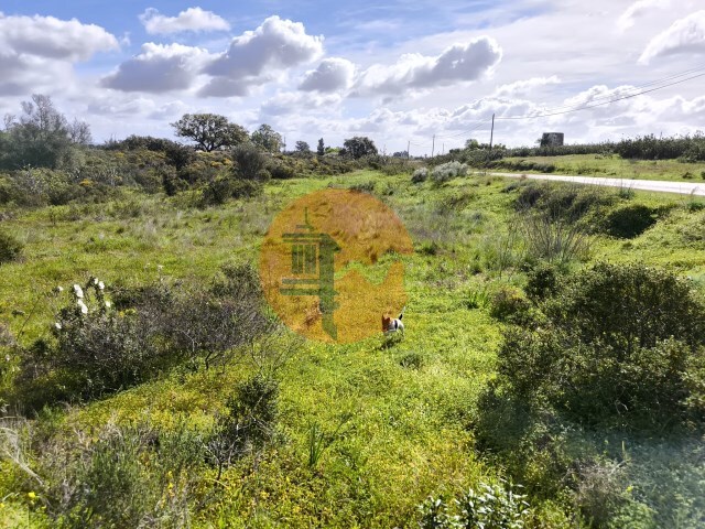 Terreno R�stico - Azinhal, Castro Marim, Faro (Algarve) - Imagem grande
