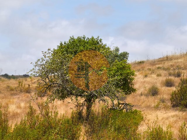 Terreno R�stico - Castro Marim, Castro Marim, Faro (Algarve) - Imagem grande