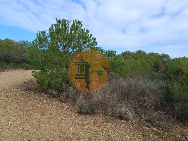 Terreno Urbano - Alcoutim, Alcoutim, Faro (Algarve) - Imagem grande