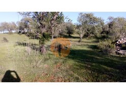 Terreno R�stico - Paderne, Albufeira, Faro (Algarve)