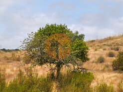 Terreno R�stico - Castro Marim, Castro Marim, Faro (Algarve)