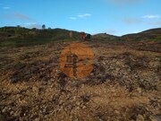 Terreno R�stico - Azinhal, Castro Marim, Faro (Algarve) - Miniatura: 5/9