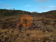 Terreno R�stico - Azinhal, Castro Marim, Faro (Algarve) - Miniatura: 6/9