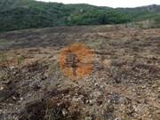 Terreno R�stico - Azinhal, Castro Marim, Faro (Algarve) - Miniatura: 9/9