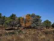 Terreno R�stico - Castro Marim, Castro Marim, Faro (Algarve) - Miniatura: 4/9