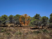 Terreno R�stico - Castro Marim, Castro Marim, Faro (Algarve) - Miniatura: 7/9