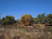 Terreno R�stico - Castro Marim, Castro Marim, Faro (Algarve) - Miniatura: 9/9