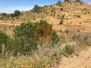 Terreno Rstico - Castro Marim, Castro Marim, Faro (Algarve) - Miniatura: 5/9