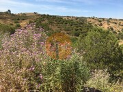 Terreno Rstico - Castro Marim, Castro Marim, Faro (Algarve) - Miniatura: 6/9