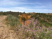 Terreno Rstico - Castro Marim, Castro Marim, Faro (Algarve) - Miniatura: 7/9
