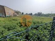 Terreno Urbano - Quelfes, Olh�o, Faro (Algarve) - Miniatura: 6/9