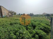 Terreno Urbano - Quelfes, Olh�o, Faro (Algarve) - Miniatura: 7/9