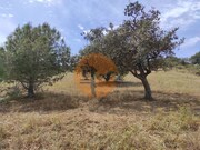 Terreno Rstico - Castro Marim, Castro Marim, Faro (Algarve) - Miniatura: 2/9