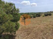 Terreno Rstico - Castro Marim, Castro Marim, Faro (Algarve) - Miniatura: 7/9