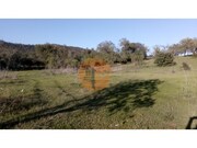 Terreno R�stico - Paderne, Albufeira, Faro (Algarve) - Miniatura: 1/9