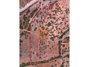 Terreno R�stico - Paderne, Albufeira, Faro (Algarve) - Miniatura: 4/9