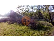 Terreno R�stico - Paderne, Albufeira, Faro (Algarve) - Miniatura: 7/9