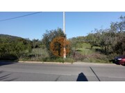 Terreno R�stico - Paderne, Albufeira, Faro (Algarve) - Miniatura: 9/9