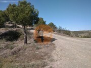Terreno R�stico - Alcoutim, Alcoutim, Faro (Algarve) - Miniatura: 5/9