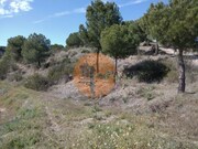 Terreno R�stico - Alcoutim, Alcoutim, Faro (Algarve) - Miniatura: 6/9
