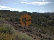 Terreno R�stico - Alcoutim, Alcoutim, Faro (Algarve) - Miniatura: 9/9