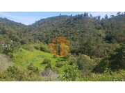 Terreno Urbano - Marmelete, Monchique, Faro (Algarve) - Miniatura: 5/9