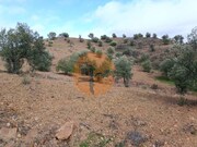 Terreno R�stico - Azinhal, Castro Marim, Faro (Algarve) - Miniatura: 3/9