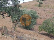 Terreno R�stico - Azinhal, Castro Marim, Faro (Algarve) - Miniatura: 4/9