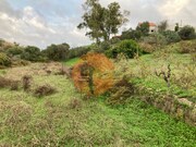 Terreno R�stico - Odeleite, Castro Marim, Faro (Algarve) - Miniatura: 2/9