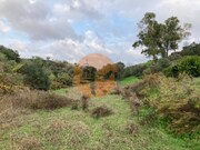 Terreno R�stico - Odeleite, Castro Marim, Faro (Algarve) - Miniatura: 8/9