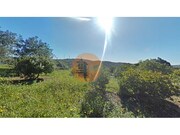 Terreno R�stico - Concei��o, Faro, Faro (Algarve) - Miniatura: 1/9