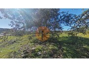 Terreno R�stico - Concei��o, Faro, Faro (Algarve) - Miniatura: 2/9