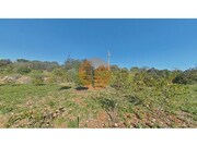 Terreno R�stico - Concei��o, Faro, Faro (Algarve) - Miniatura: 4/9