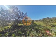 Terreno R�stico - Concei��o, Faro, Faro (Algarve) - Miniatura: 5/9